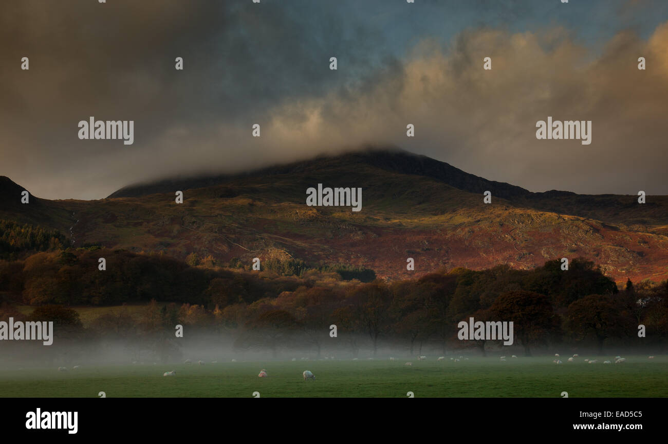 MOEL Hebog in Wolke, in der Nähe von Beddgelert, Gwynedd, Wales Stockfoto