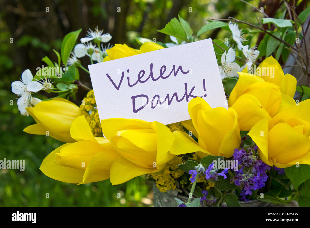 Deutsche Grußkarte mit gelben Tulpen Stockfoto
