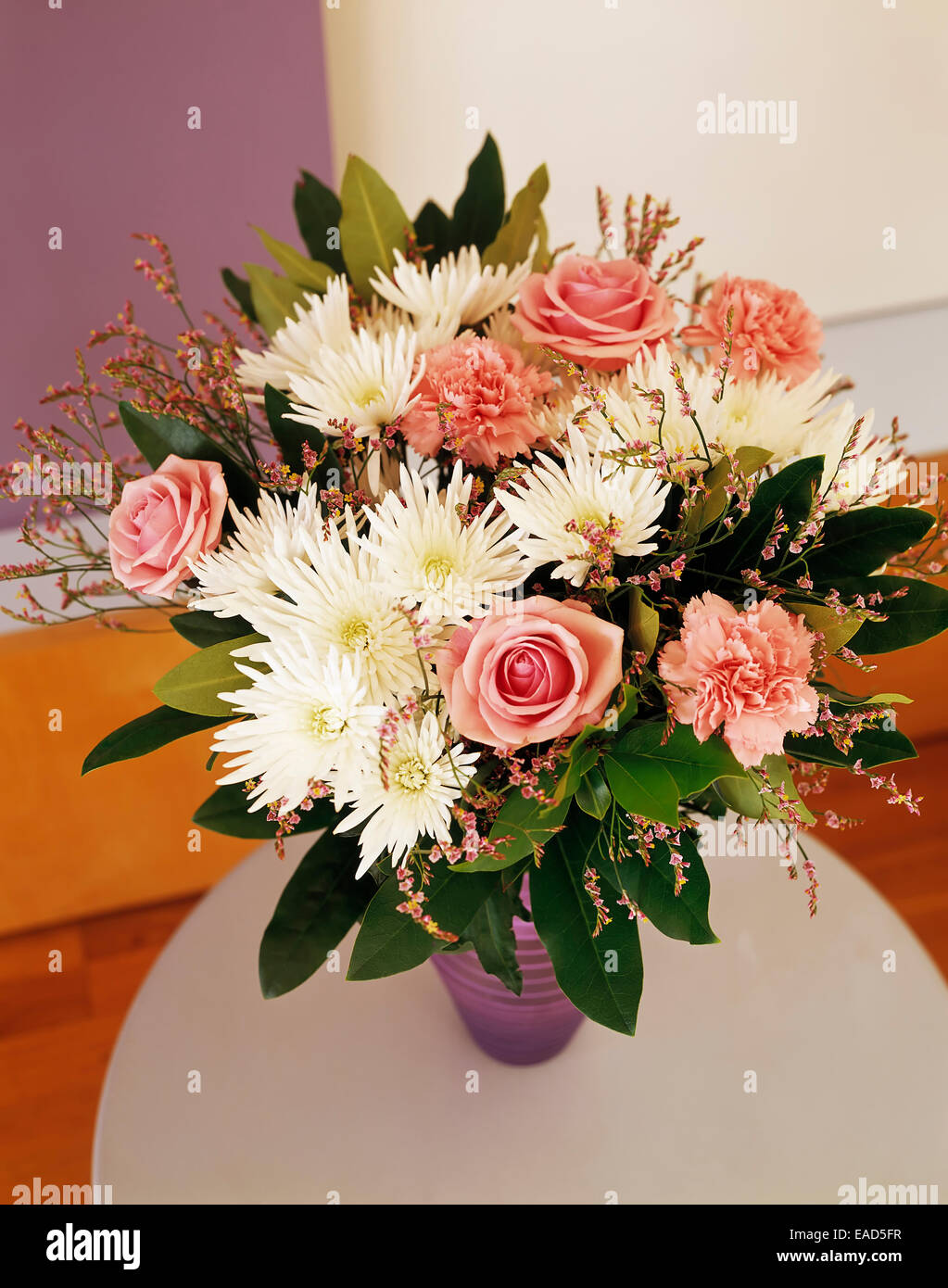 Gänseblümchen, Chrysantheme, Chrysanthemen, Mischfarben Thema. Stockfoto