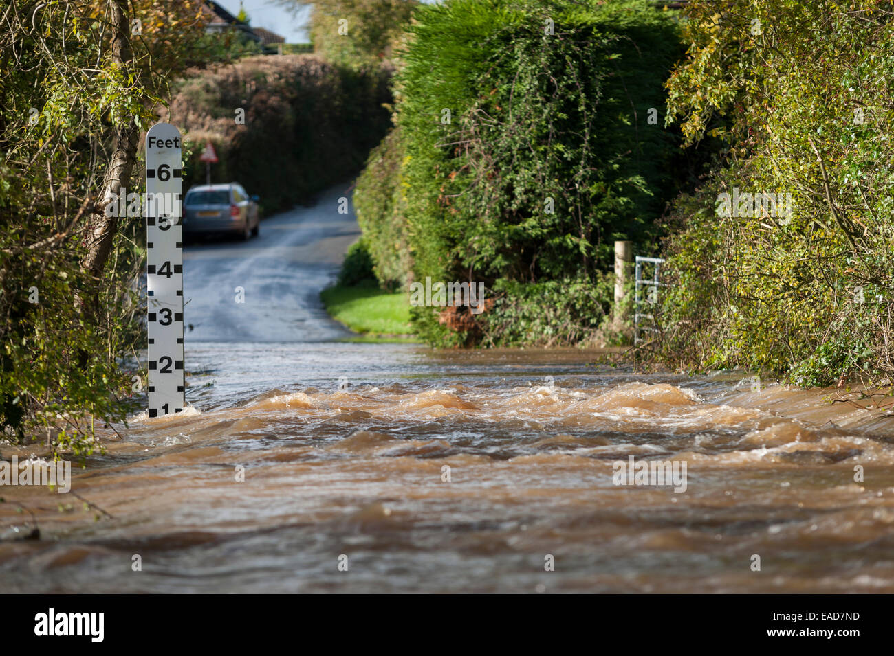 Überschwemmungen in der Nähe von Rewe, Exeter, Devon, UK, wo der Fluss Culm seinen Ufern nach starkem Regen platzen. Stockfoto