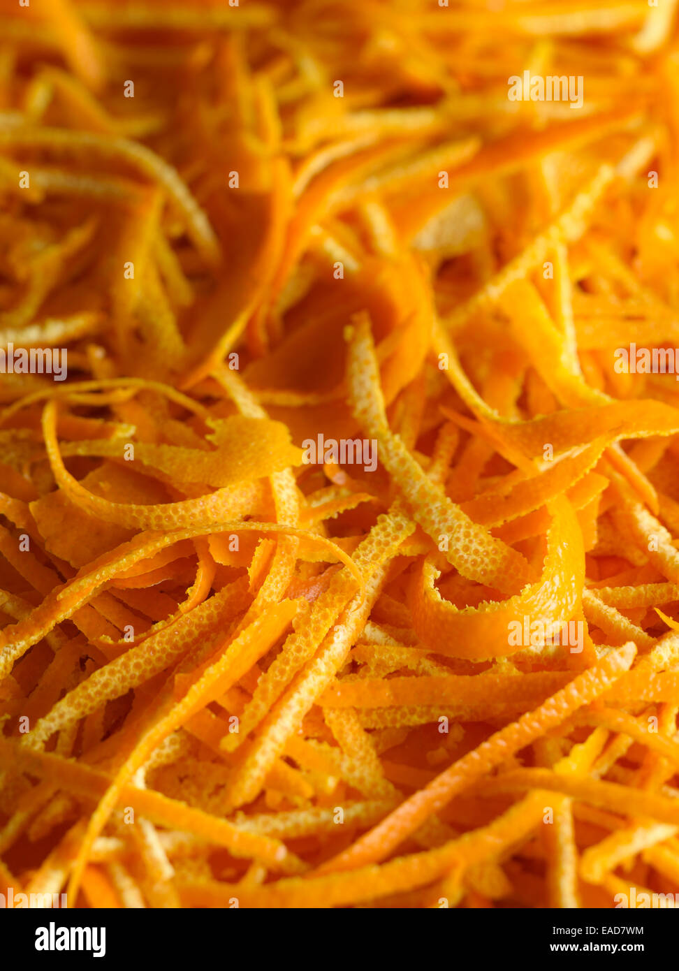 Orange, Citrus Sinensis, Orange Thema. Stockfoto