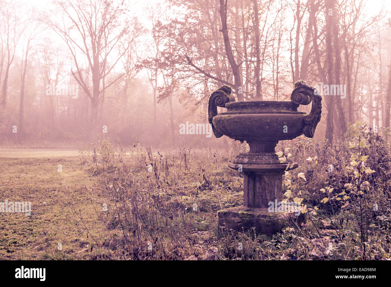 Alten Park im Herbst. Deutschland, Europa Stockfoto