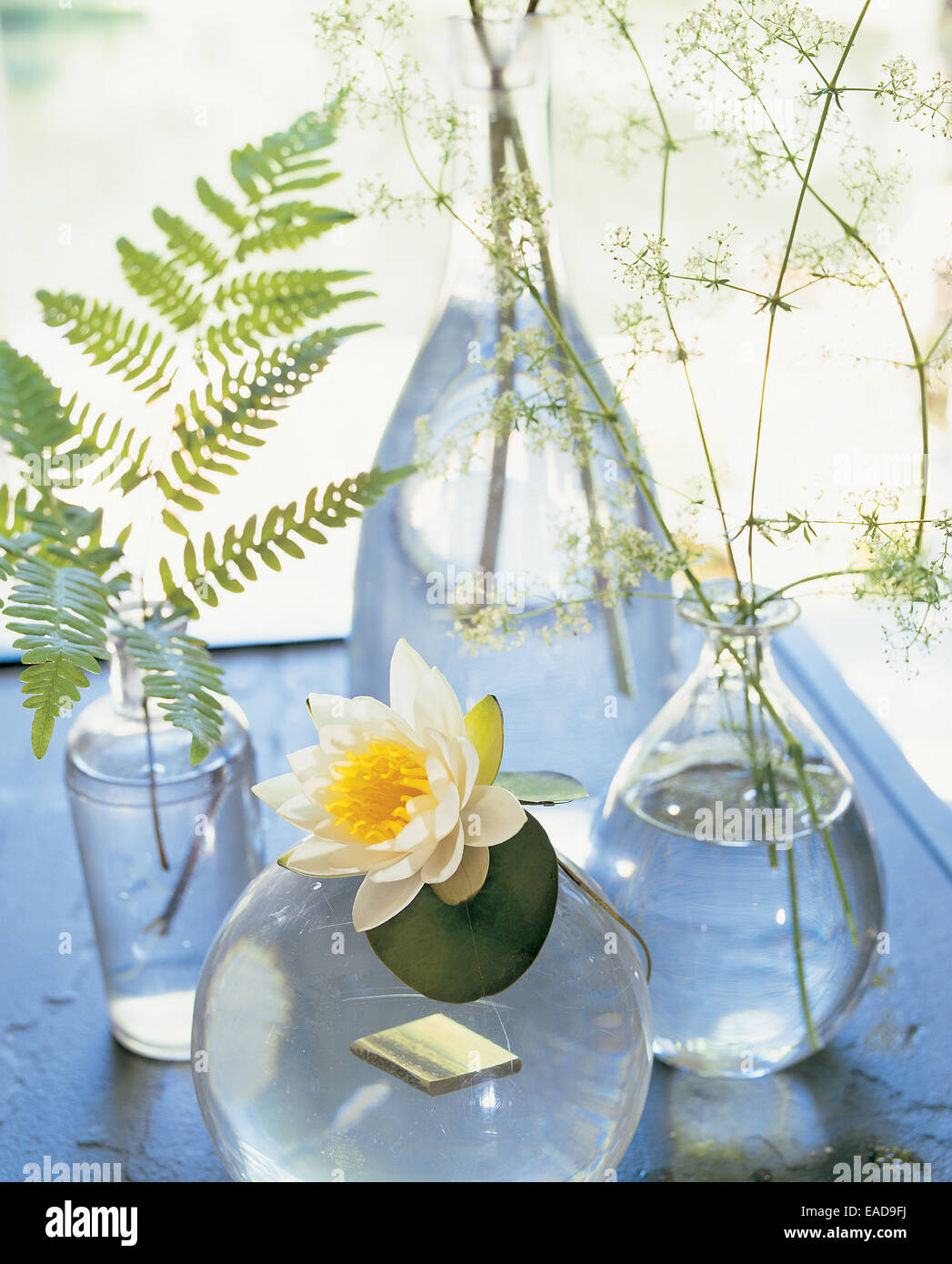 Blumenarrangement Stockfoto
