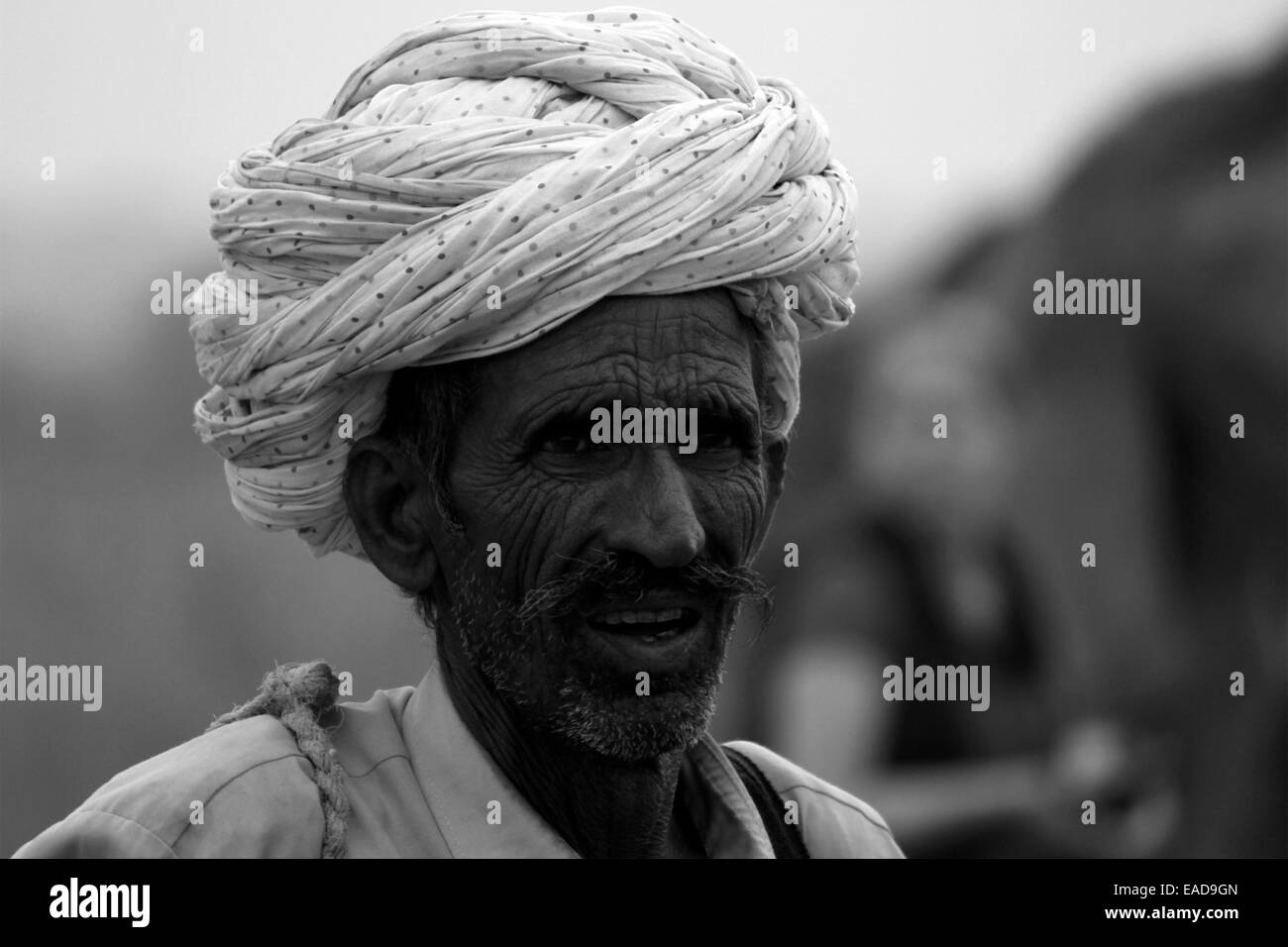 Turban, indische, Männlich, Alter Mann, Dorfbewohner, Schnurrbart, Bart in Pushkar, Rajasthan, Indien. Stockfoto