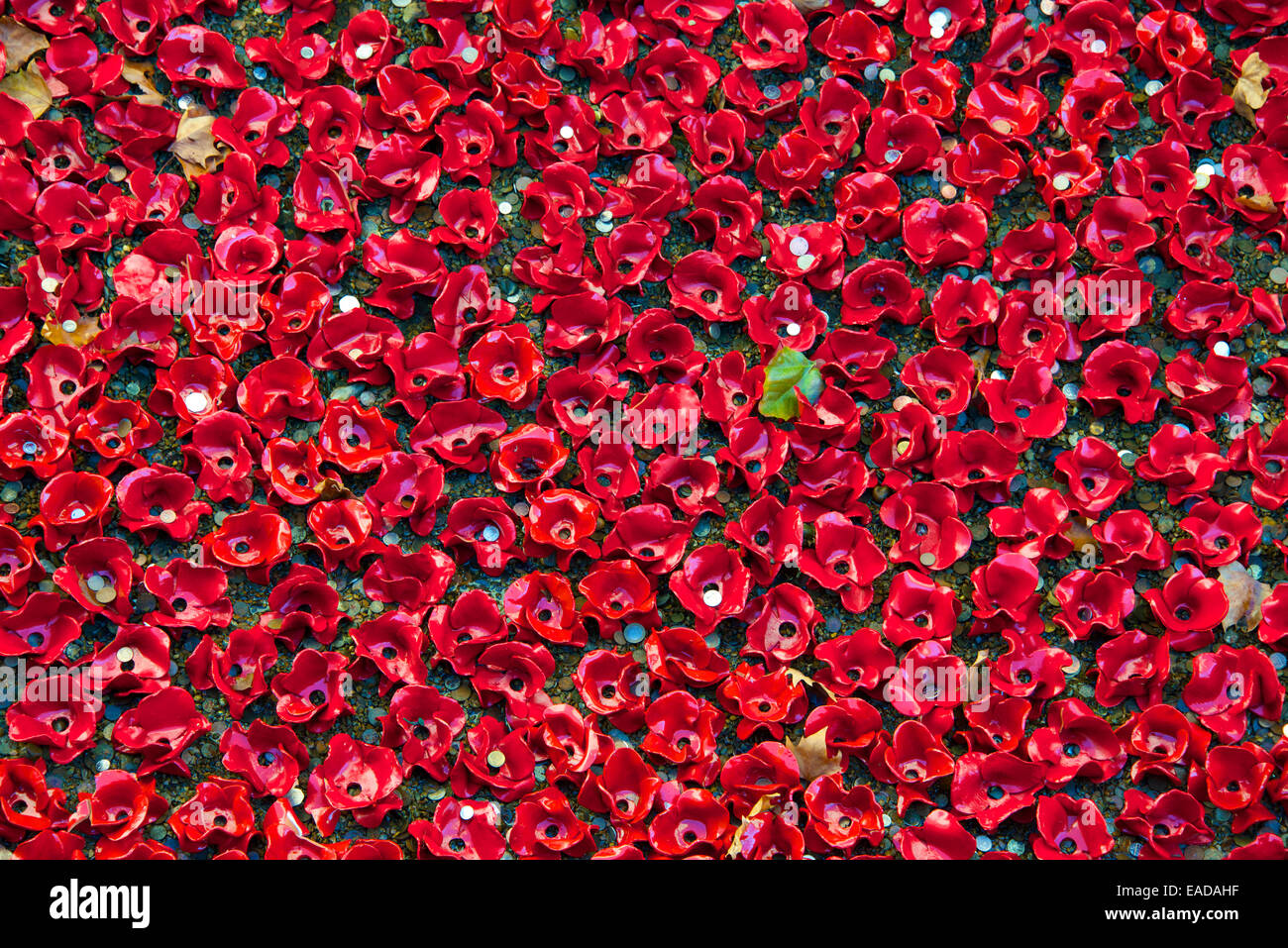 Close-up Tower of London Keramik Mohnblumen Installation London England Stockfoto
