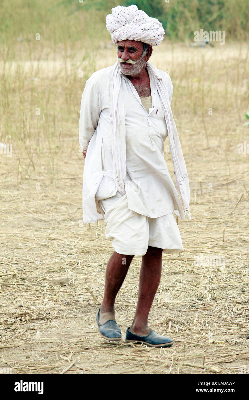 Turban, indische, Männlich, Alter Mann, Dorfbewohner, Schnurrbart, Bart in Pushkar, Rajasthan, Indien. Stockfoto