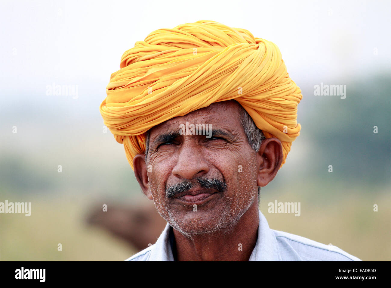 Turban, indische, Männlich, Alter Mann, Dorfbewohner, Schnurrbart, Bart in Pushkar, Rajasthan, Indien. Stockfoto