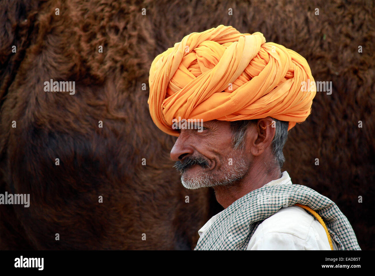 Turban, indische, Männlich, Alter Mann, Dorfbewohner, Schnurrbart, Bart in Pushkar, Rajasthan, Indien. Stockfoto