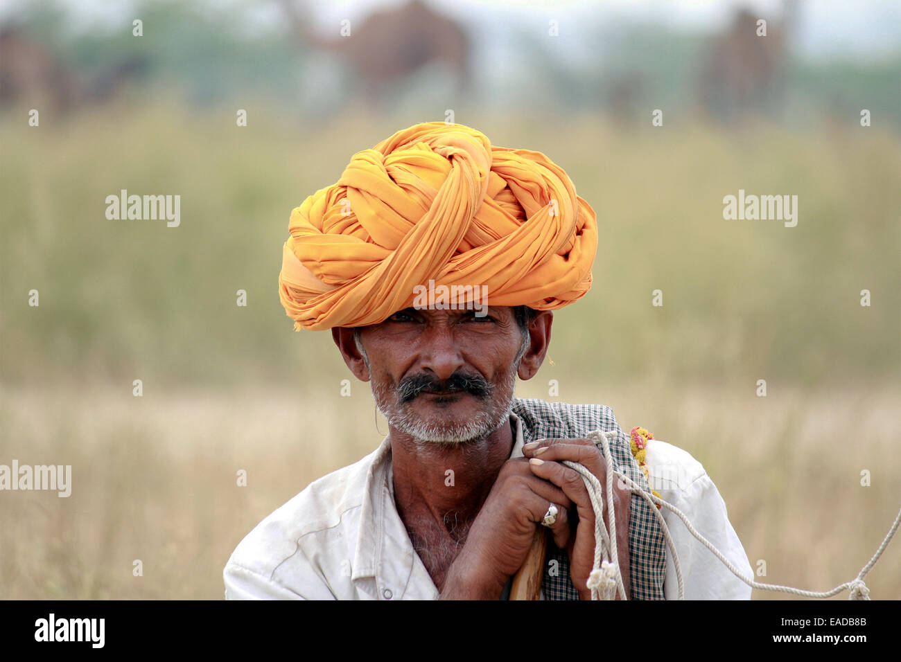 Turban, indische, Männlich, Alter Mann, Dorfbewohner, Schnurrbart, Bart in Pushkar, Rajasthan, Indien. Stockfoto