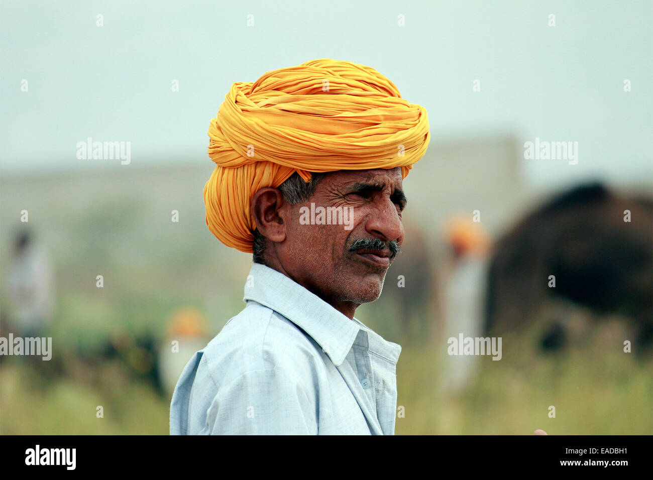 Turban, indische, Männlich, Alter Mann, Dorfbewohner, Schnurrbart, Bart in Pushkar, Rajasthan, Indien. Stockfoto
