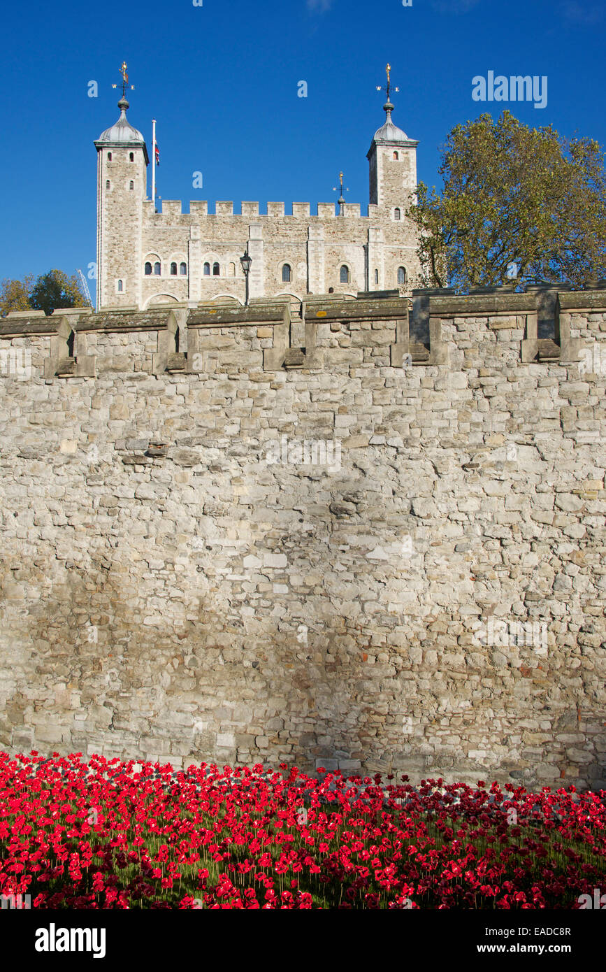 Tower von London Keramik Mohnblumen Installation London England Stockfoto