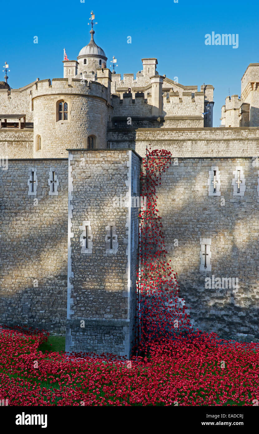 Tower von London mit Keramik Mohnblumen Installation London England Stockfoto