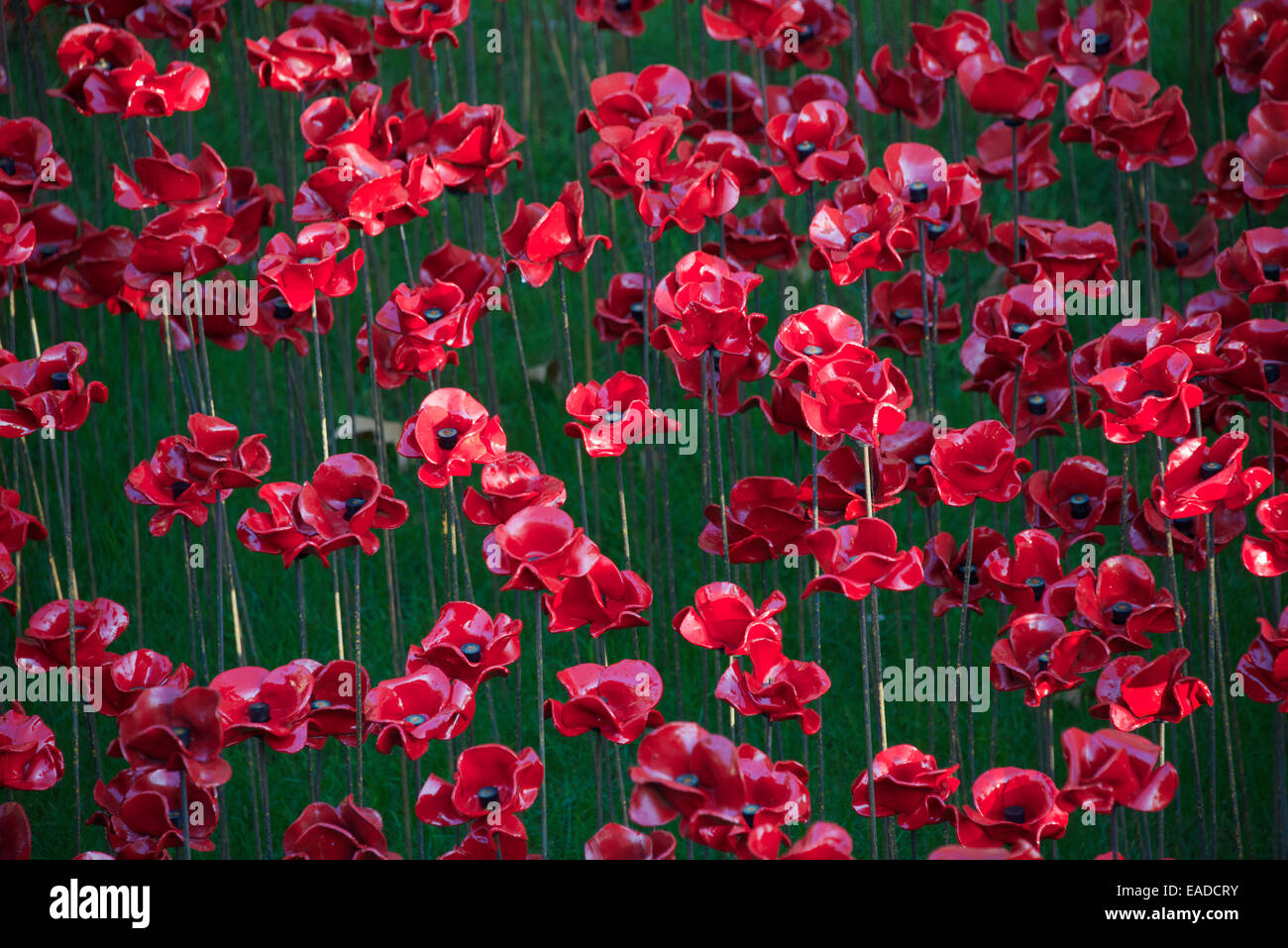 Close-up Tower of London Keramik Mohnblumen Installation London England Stockfoto