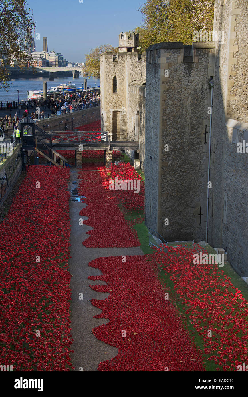 Tower von London mit Keramik Mohnblumen Installation London England Stockfoto