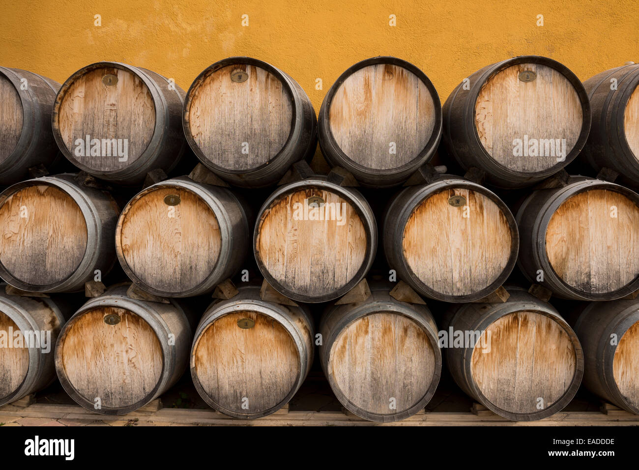 Eiche Wein-Fässer Stockfoto