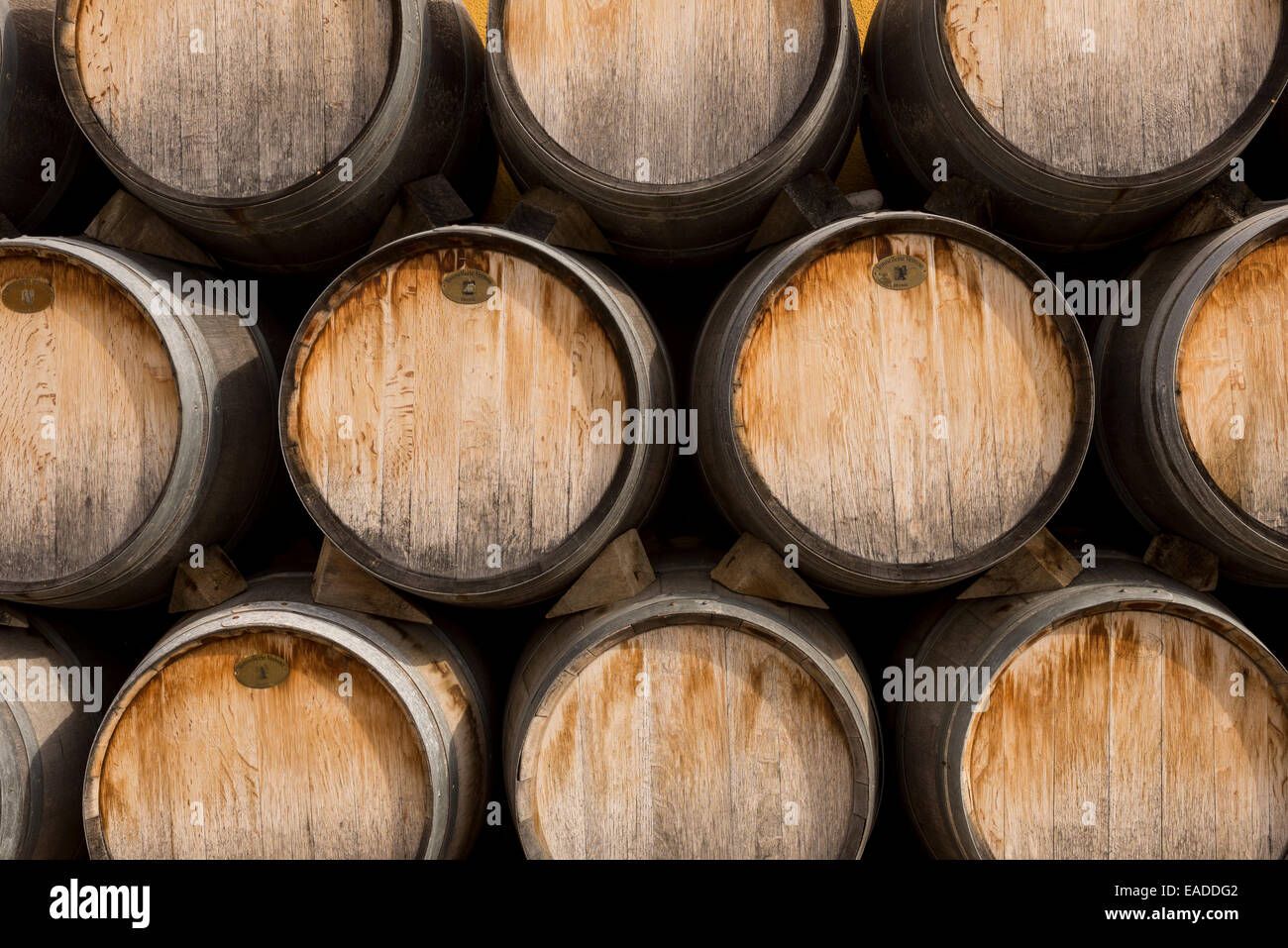 Eiche Wein-Fässer Stockfoto