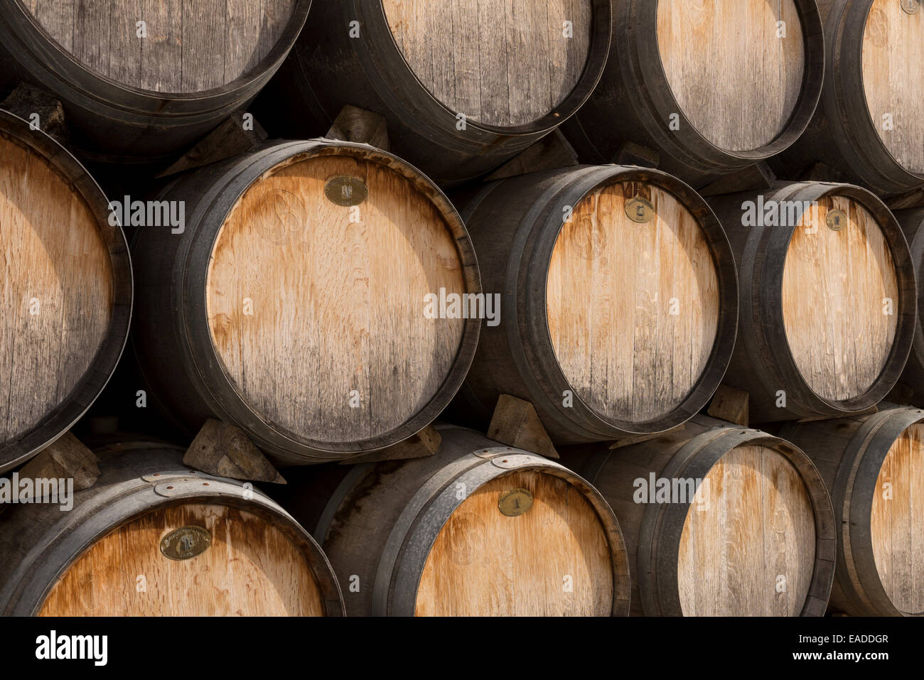 Eiche Wein-Fässer Stockfoto