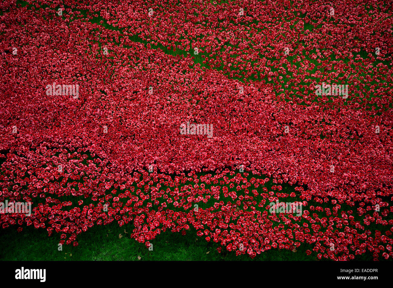 "Blut fegte Länder und Meere rot". Mehr als 800.000 Keramik Mohnblumen im ersten Weltkrieg gefallenen Soldaten zu gedenken Stockfoto