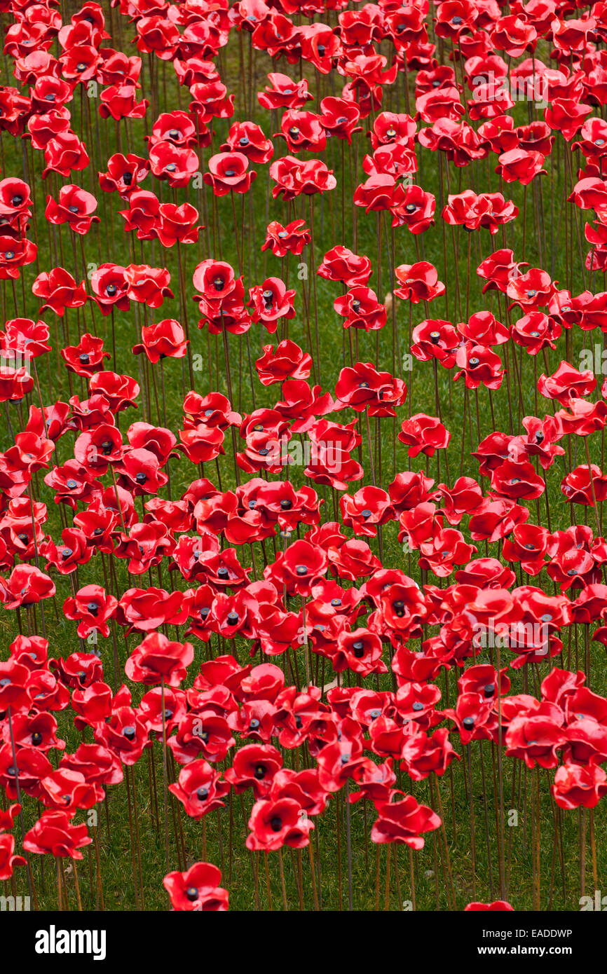 Blut Mehrfrequenzdarstellung Länder und Meere der roten Anzeige an der Tower of London Stockfoto