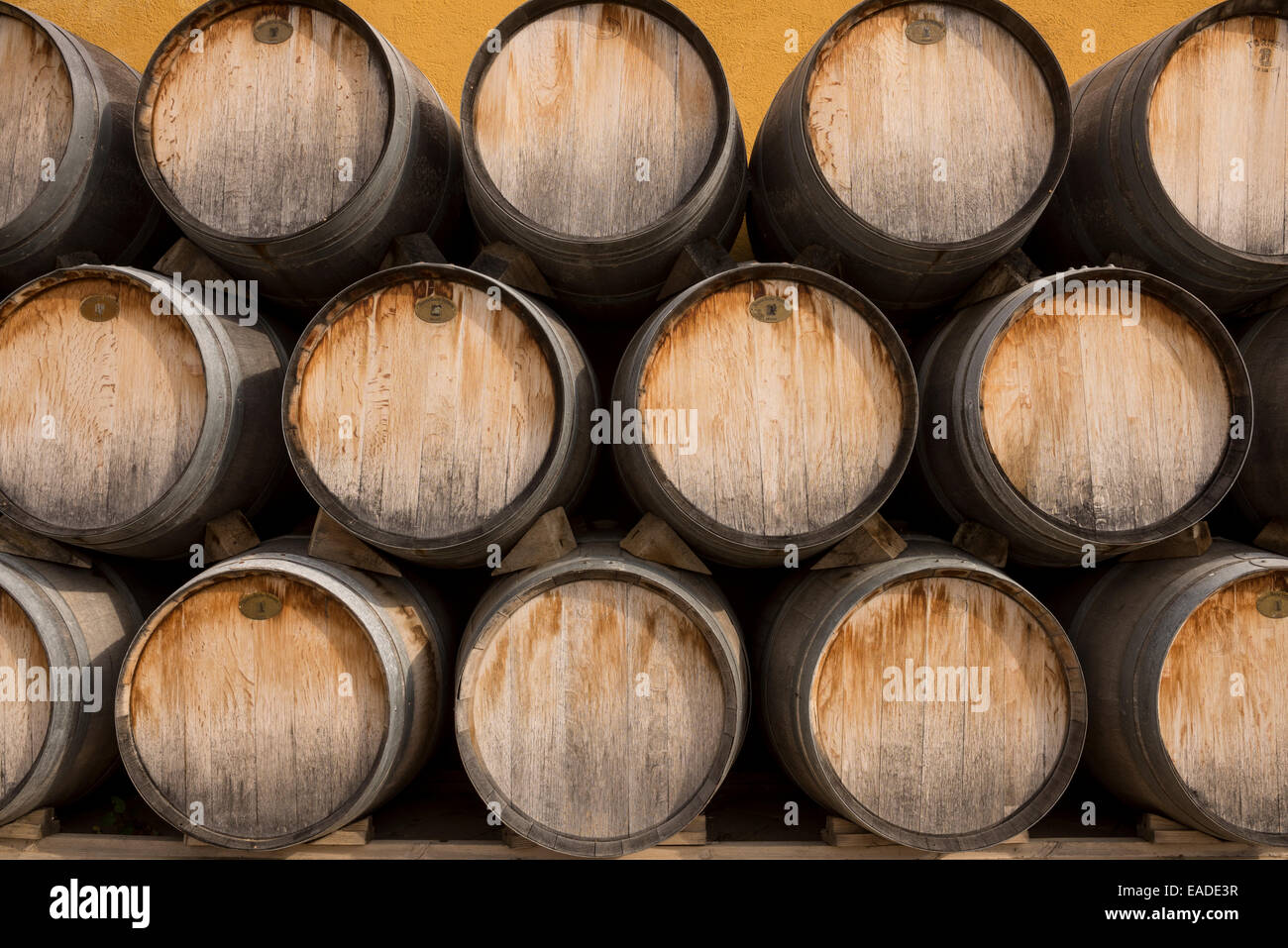 Eiche Wein-Fässer Stockfoto