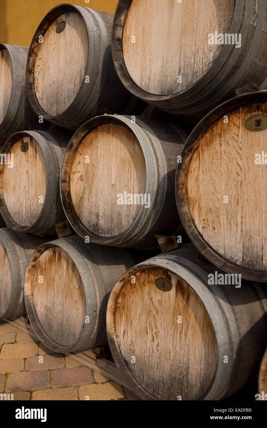 Eiche Wein-Fässer Stockfoto