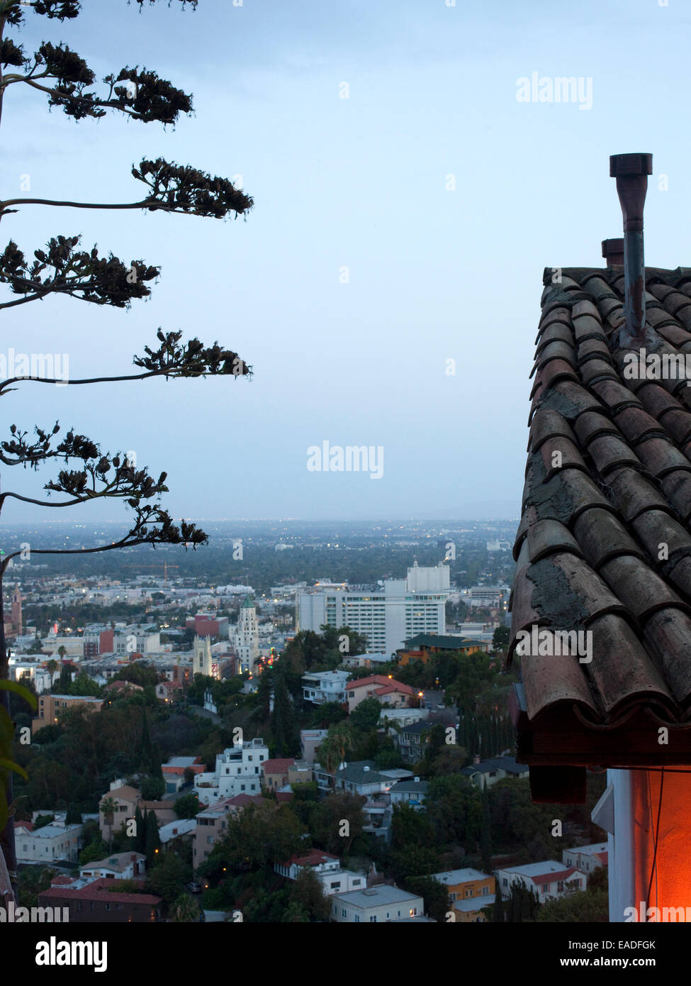 Blick auf die Stadt Los Angeles und Details von Haus und Baum und in der Abenddämmerung von Hollywood Hills gesehen. Stockfoto
