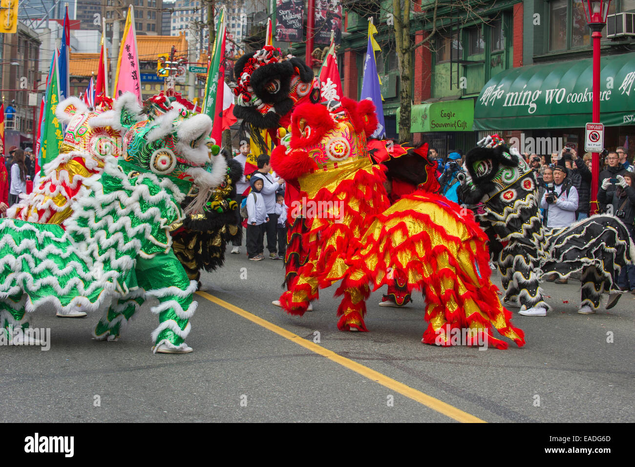 Löwentanz durchgeführt bei der chinesischen Neujahr Parade, Pender Street, Vancouver. Stockfoto