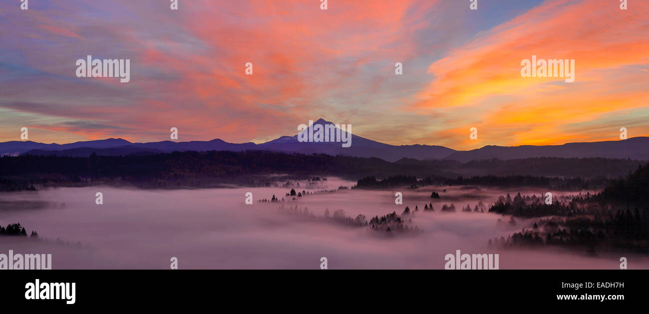 Vor Sonnenaufgang über dem Mount Hood mit Nebel über Sandy River aus Jonsrud Sicht in Oregon Panorama Stockfoto
