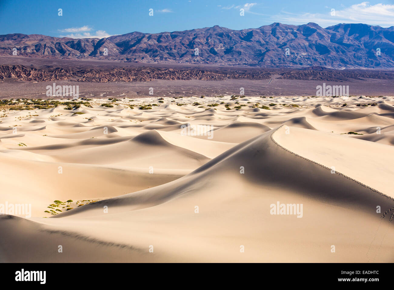 Die Mesquite flache Sanddünen im Death Valley, die den niedrigsten, heißesten und trockensten Ort in den USA, mit einer durchschnittlichen jährlichen Niederschlagsmenge von etwa 2 Zoll einige Jahre ist, die es nicht überhaupt keinen Regen erhält. Stockfoto