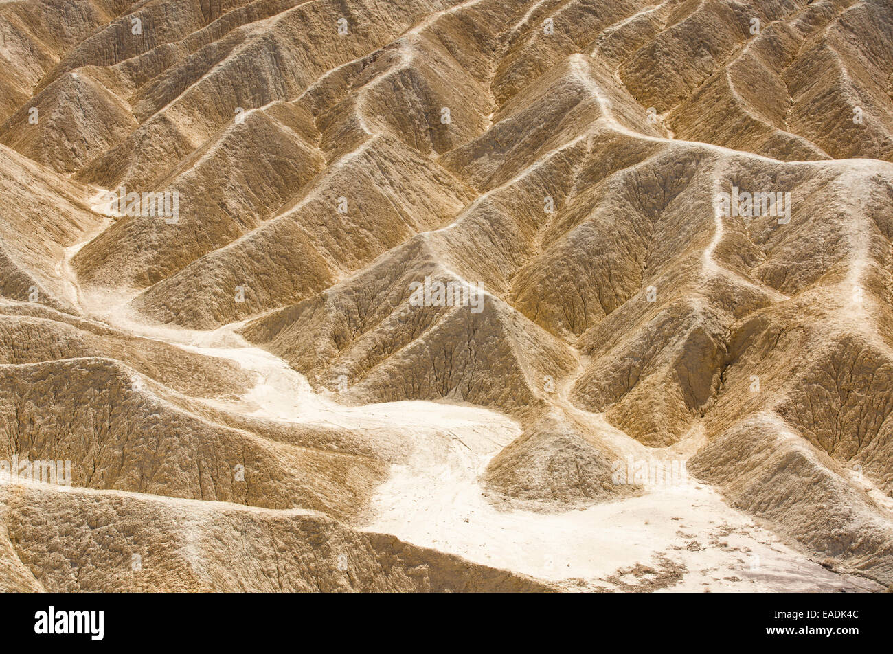 BADLAND Landschaft am Zabriskie Point im Death Valley, die den niedrigsten, heißesten und trockensten Ort in den USA, mit einer durchschnittlichen jährlichen Niederschlagsmenge von etwa 2 Zoll einige Jahre ist, die es nicht überhaupt keinen Regen erhält. Stockfoto