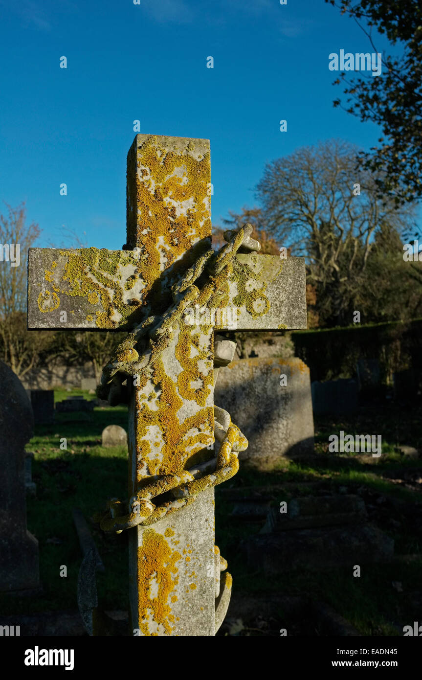 Ein Grabstein in Flechten bedeckt. Ancaster Friedhof, Lincolnshire, England. Stockfoto