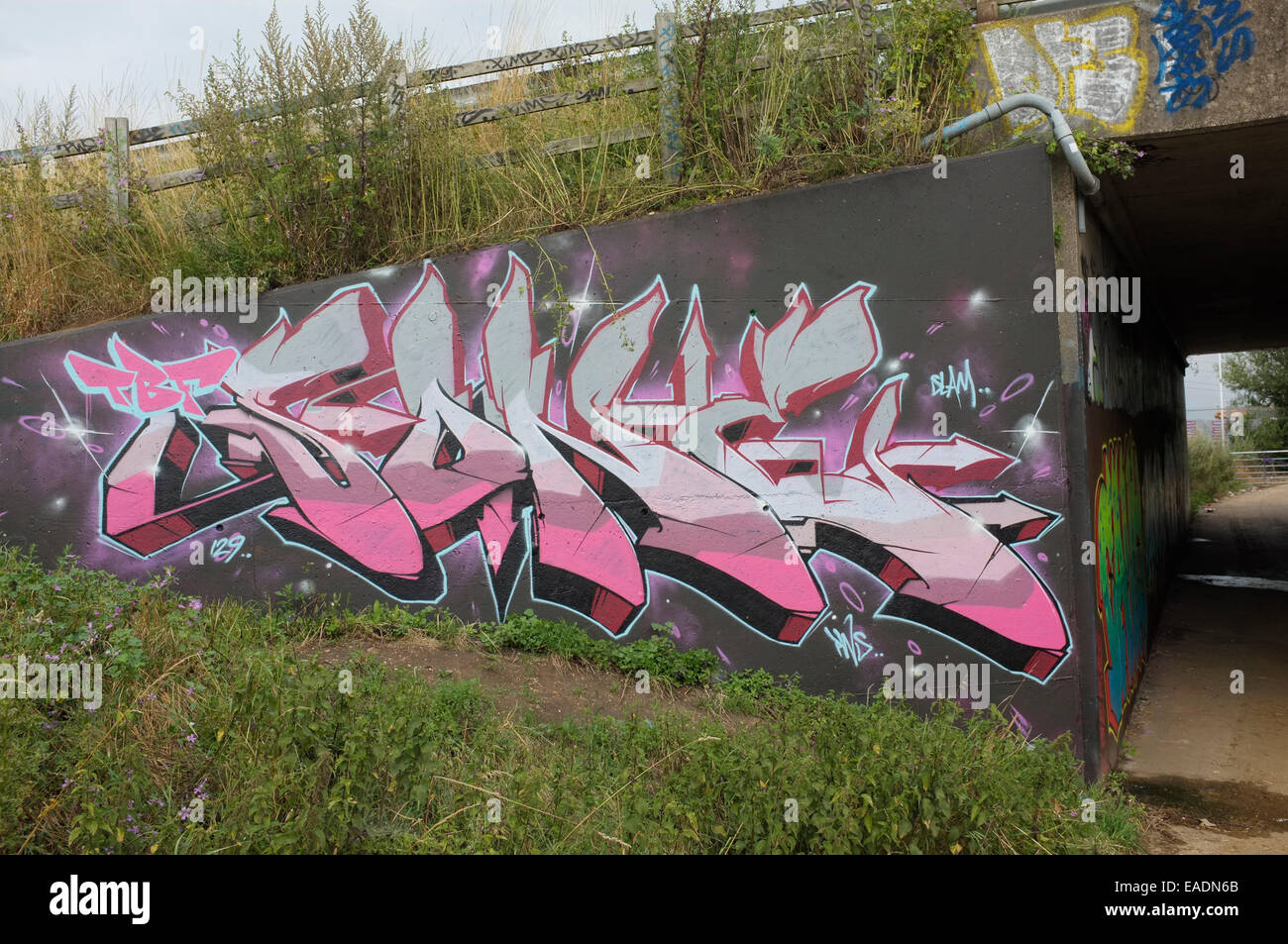 Street-Art an den Wänden von einer u-Bahn unter der A1 bei Eaton Socon, Cambridgeshire UK. Stockfoto