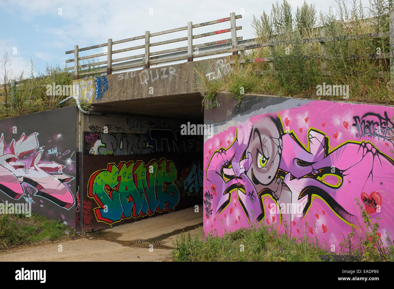 Street-Art an den Wänden von einer u-Bahn unter der A1 bei Eaton Socon, Cambridgeshire UK. Stockfoto