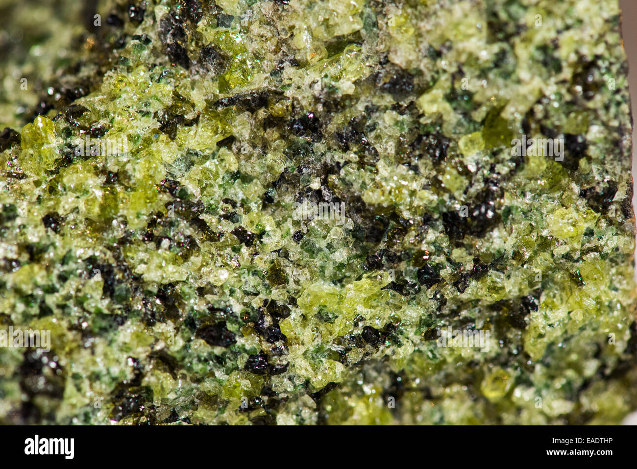 Grüne Kristalle von Mineral Olivin in einer ultramafischen Gestein Peridotit. Stockfoto