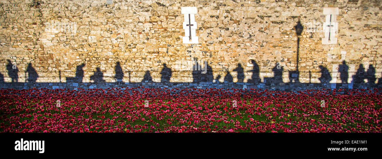 London, UK. 12. November 2014. Ergreifende Schatten an der Wand des Tower of London. Menschenmassen strömen immer noch dort zu Tausenden um das Kunstwerk zu sehen. Schatten der Menge auf der Wand über die Mohnblumen projiziert bietet ein eindrucksvolles Bild. Bildnachweis: Ian Ward/Alamy Live-Nachrichten Stockfoto