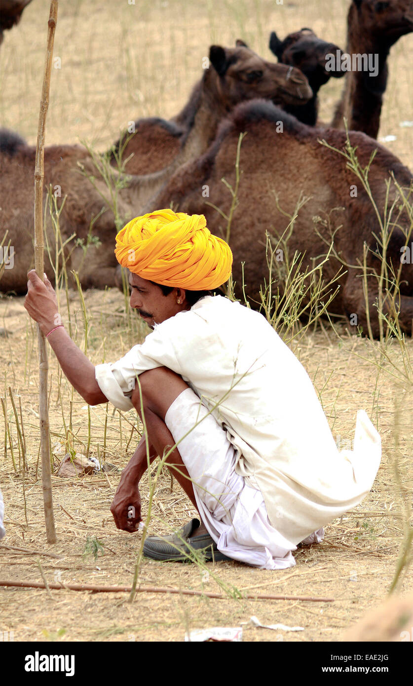 Turban, indische, Männlich, Alter Mann, Dorfbewohner, Schnurrbart, Bart in Pushkar, Rajasthan, Indien. Stockfoto