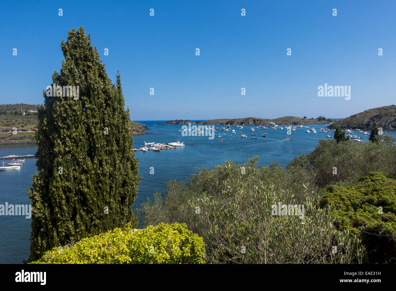 Olivengarten, Salvador Dali, Port Lligat, Cap de Creus, Costa Brava, Girona, Spanien, Katalanien, Portlligat Stockfoto