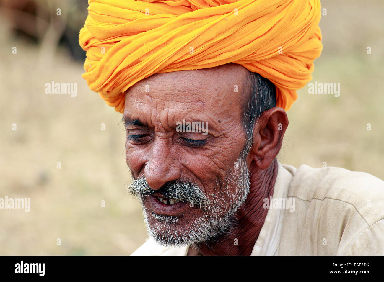 Turban, indische, Männlich, Alter Mann, Dorfbewohner, Schnurrbart, Bart in Pushkar, Rajasthan, Indien. Stockfoto