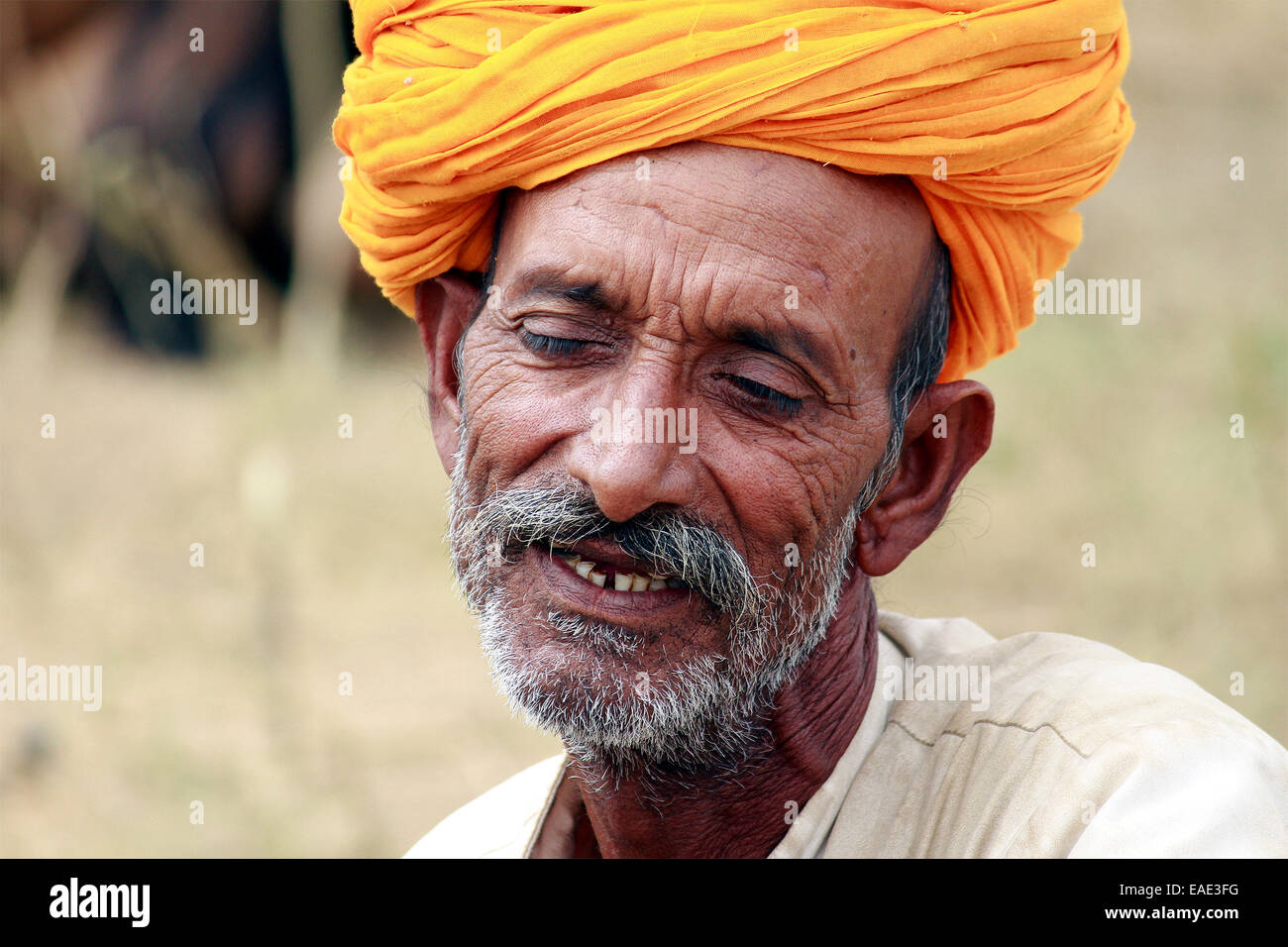 Turban, indische, Männlich, Alter Mann, Dorfbewohner, Schnurrbart, Bart in Pushkar, Rajasthan, Indien. Stockfoto