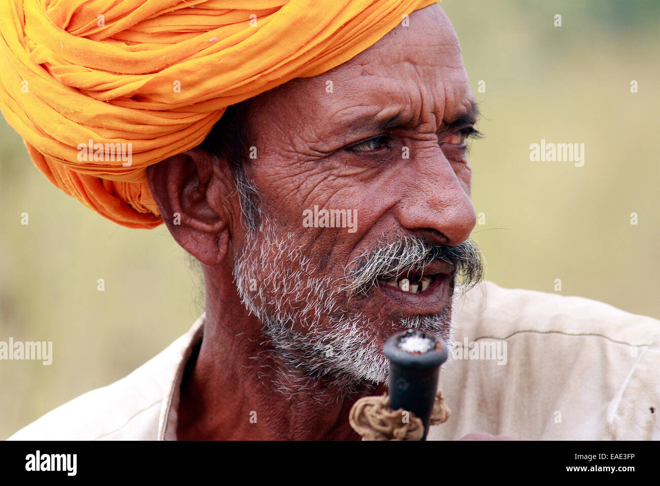 Turban, indische, Männlich, Alter Mann, Dorfbewohner, Schnurrbart, Bart in Pushkar, Rajasthan, Indien. Stockfoto