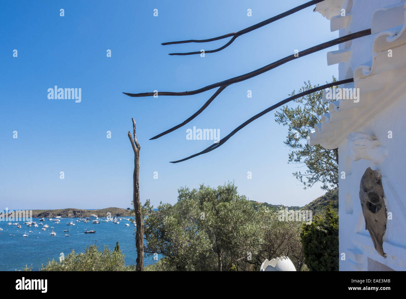 Olivengarten, Salvador Dali, Port Lligat, Cap de Creus, Costa Brava, Girona, Spanien, Katalanien, Portlligat Stockfoto