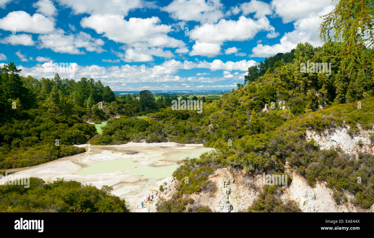 Flache Pfanne Pool im Wai-O-Tapu geothermal Gegend in Neuseeland Stockfoto