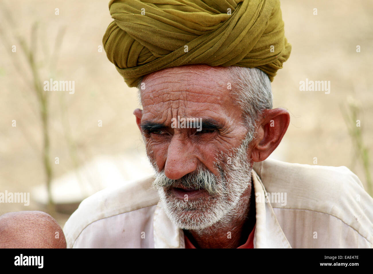 Turban, indische, Männlich, Alter Mann, Dorfbewohner, Schnurrbart, Bart in Pushkar, Rajasthan, Indien. Stockfoto