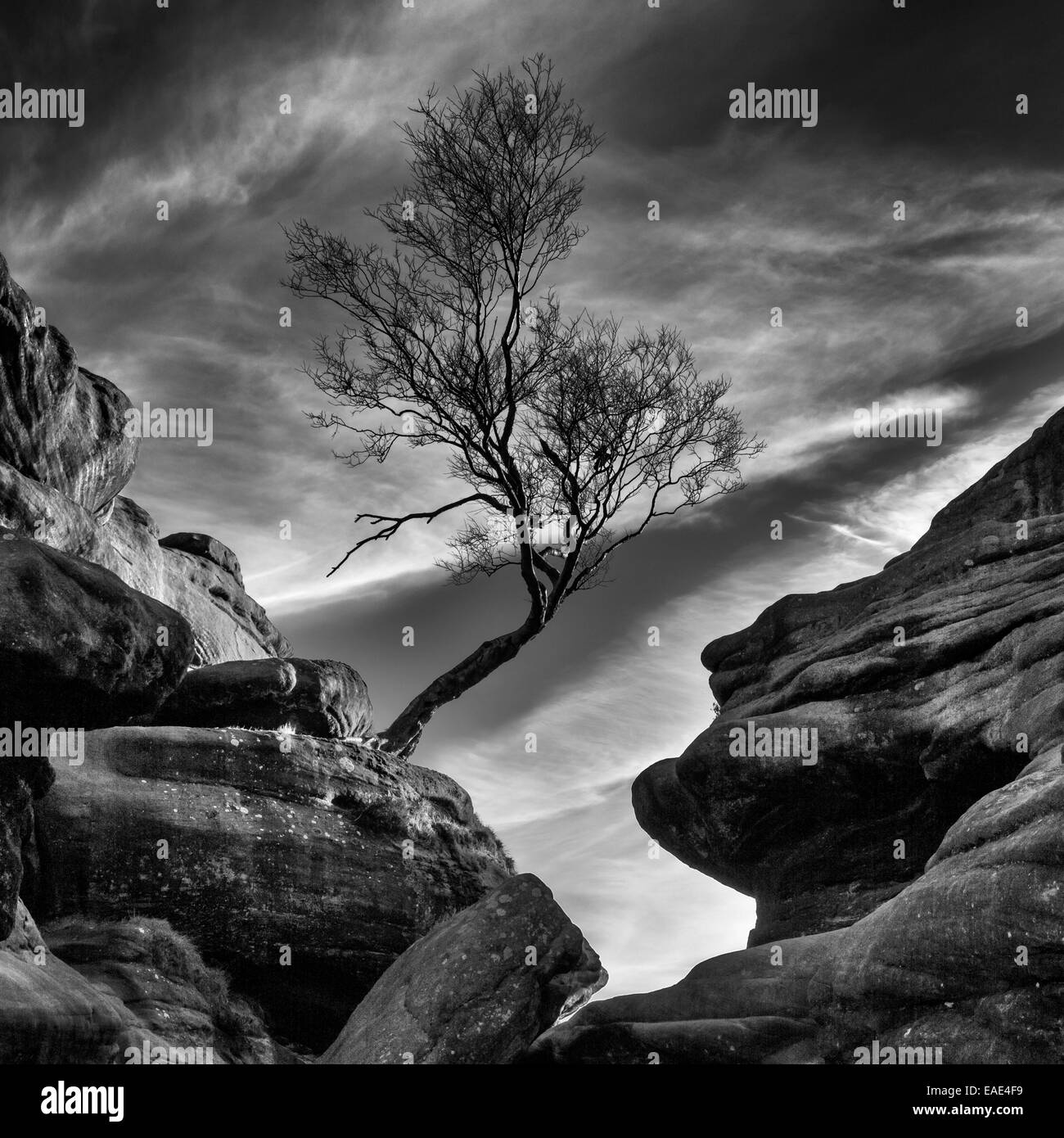 Brimham Rocks, Pateley Bridge, North Yorkshire, England. Stockfoto