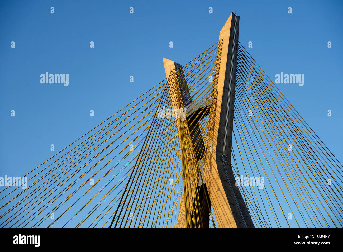 Detail von Octávio Frias de Oliveira Hängebrücke, Morumbi, São Paulo, São Paulo, Brasilien Stockfoto