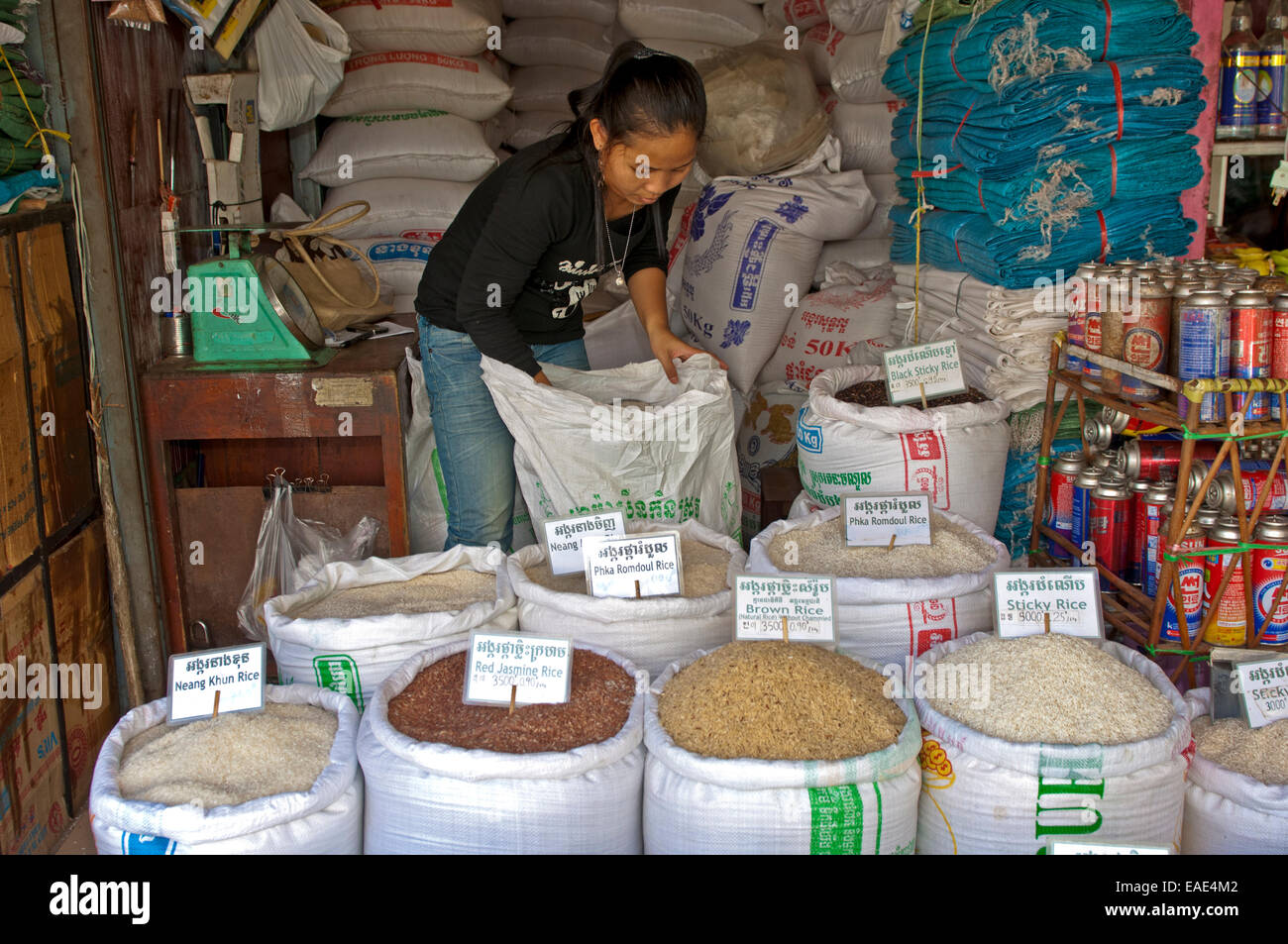 Reis-Anbieter bieten verschiedene Sorten von Reis auf dem Messestand, Siem Reap, Provinz Siem Reap, Kambodscha Stockfoto