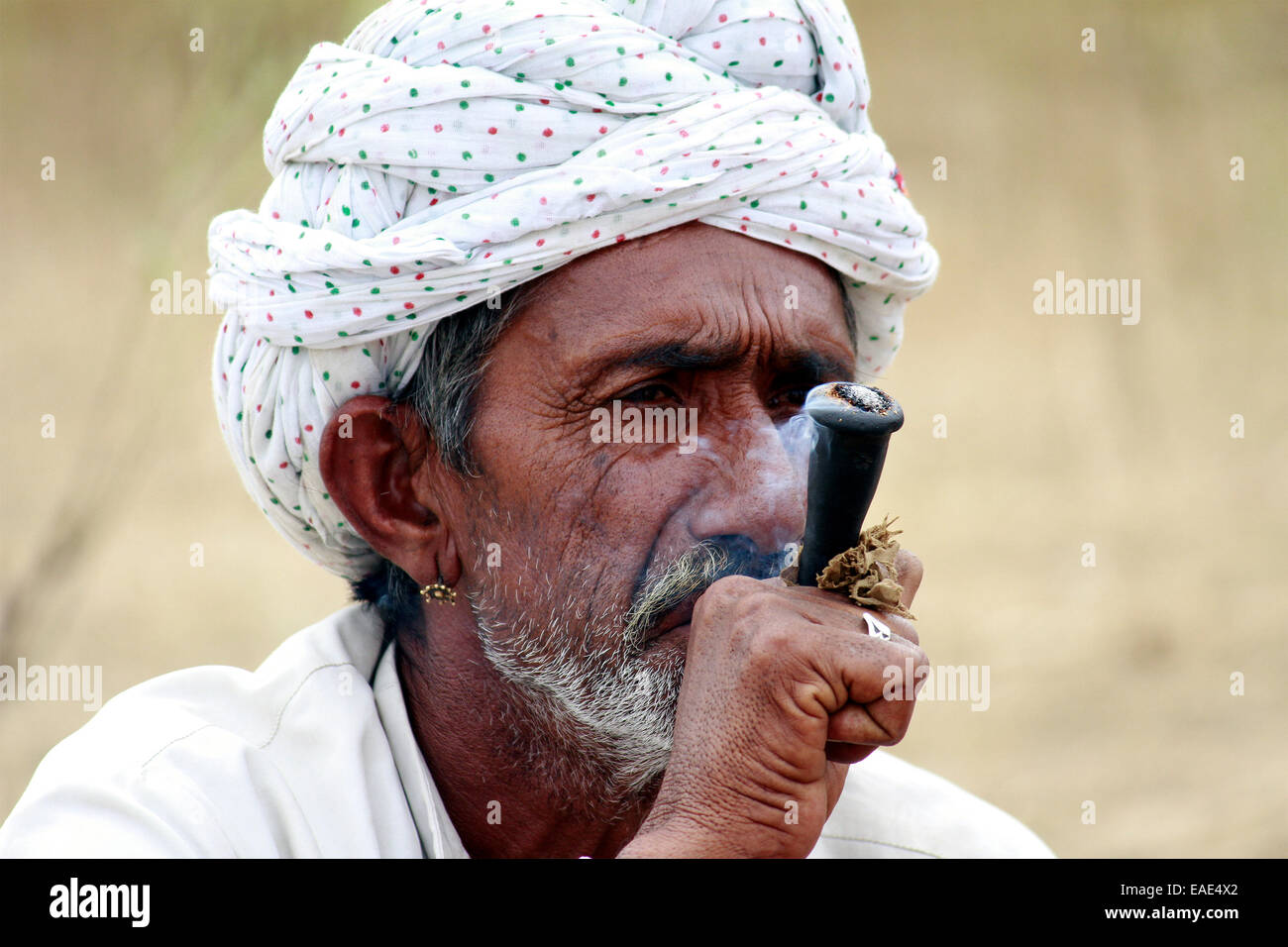 Turban, indische, Männlich, Alter Mann, Dorfbewohner, Schnurrbart, Bart in Pushkar, Rajasthan, Indien. Stockfoto