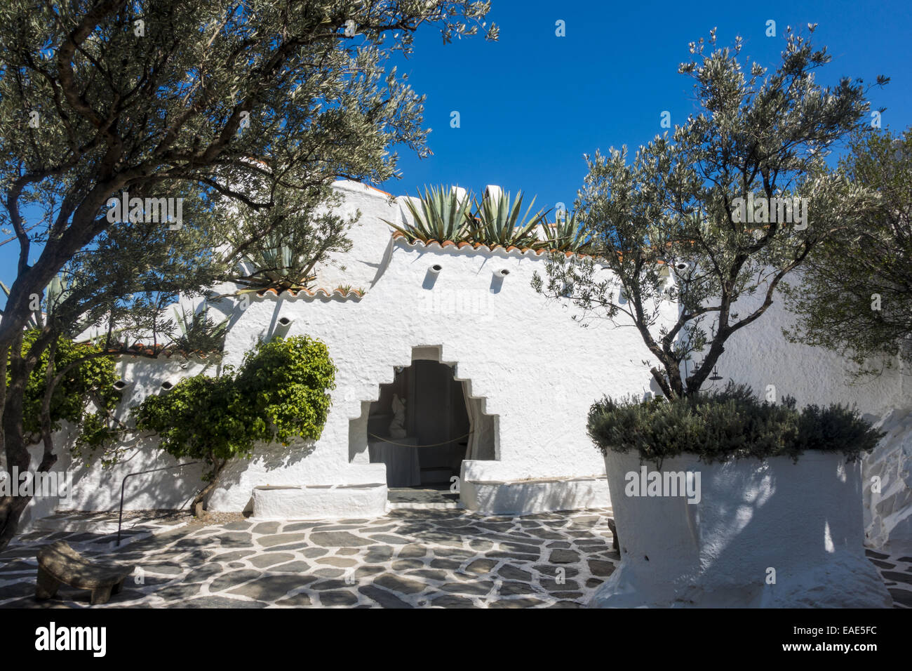 Olivengarten, Salvador Dali, Port Lligat, Cap de Creus, Costa Brava, Girona, Spanien, Katalanien, Portlligat Stockfoto