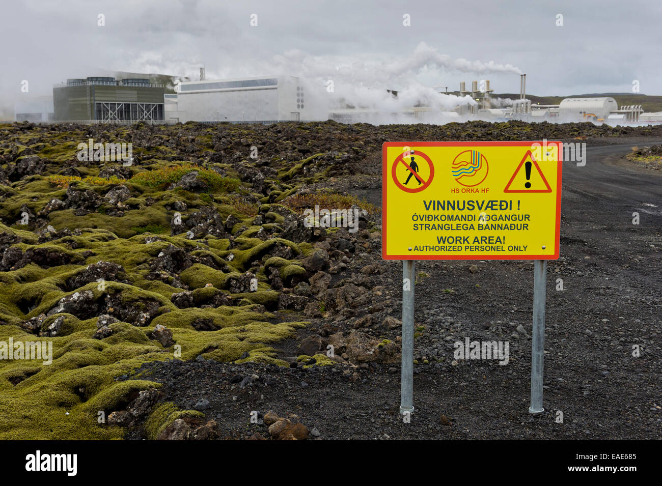 Warnung und Verbot unterzeichnen, Lava moosbedeckten länglichen Rock (Racomitrium Elongatum), an die Svartsengi Geothermie Stockfoto