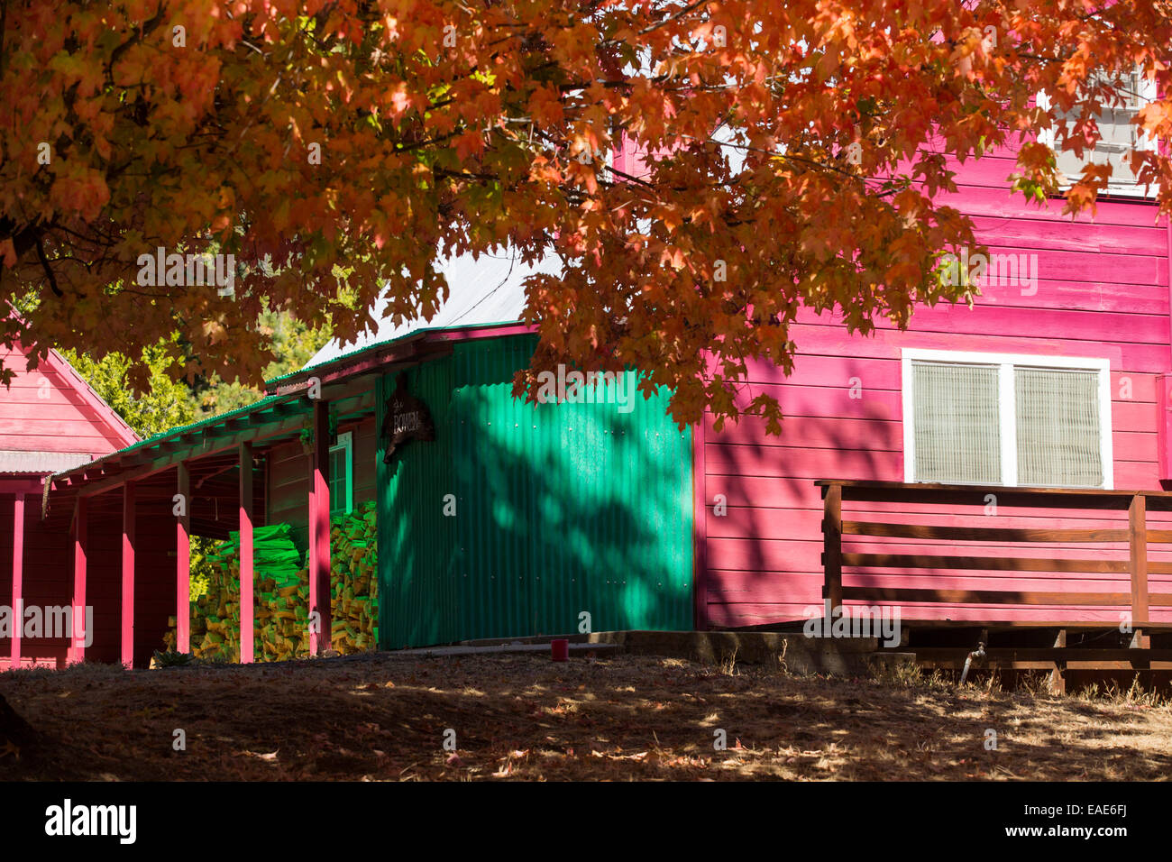 Herbstfarben rund um ein Haus in der Nähe von Springville, Tule River, Kalifornien, USA. Stockfoto